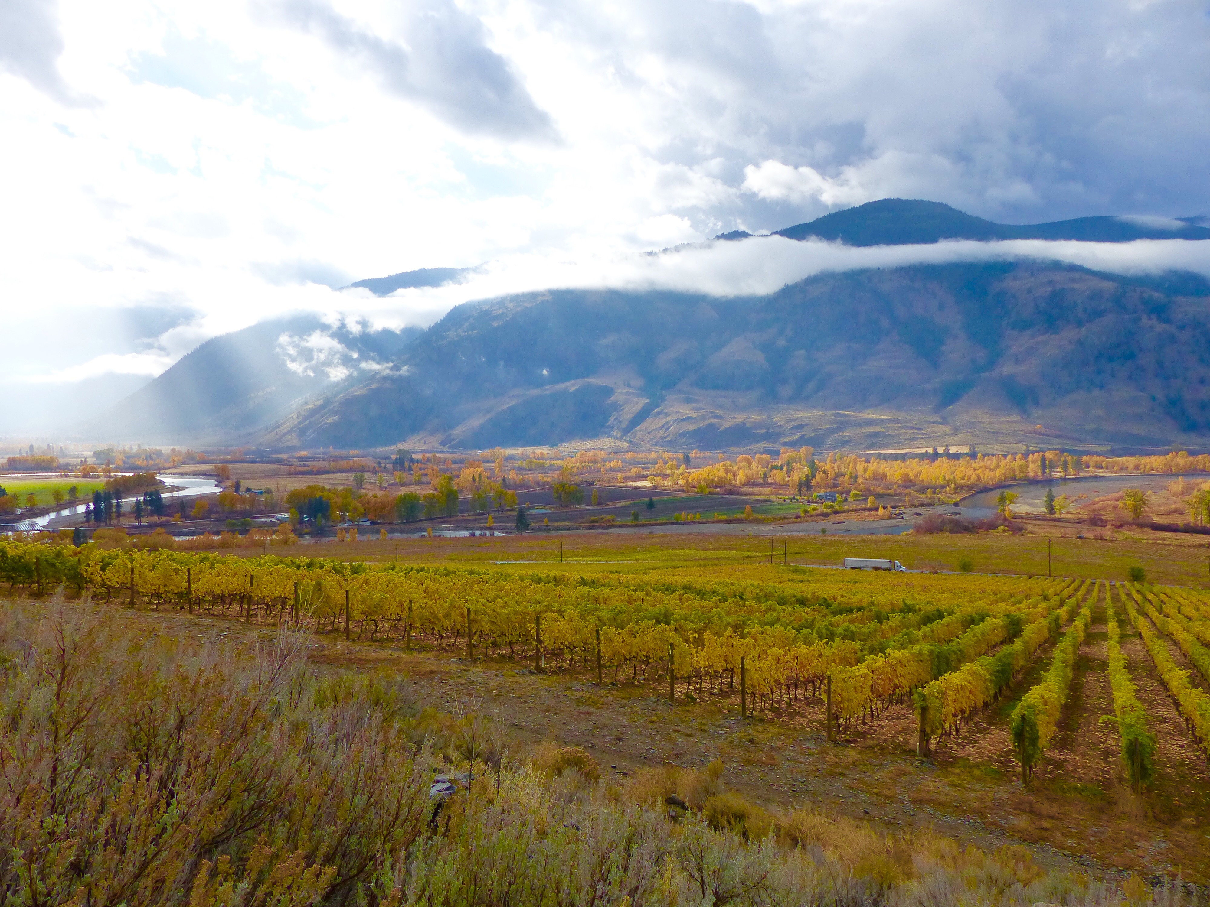 Starstruck! Vanessa Vineyard Debuts at Four Seasons Hotel Vancouver